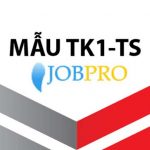 Mẫu TK1 – TS