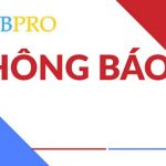 Mẫu thông báo được hiểu là gì